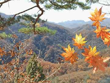 安徽舒城最新招聘信息